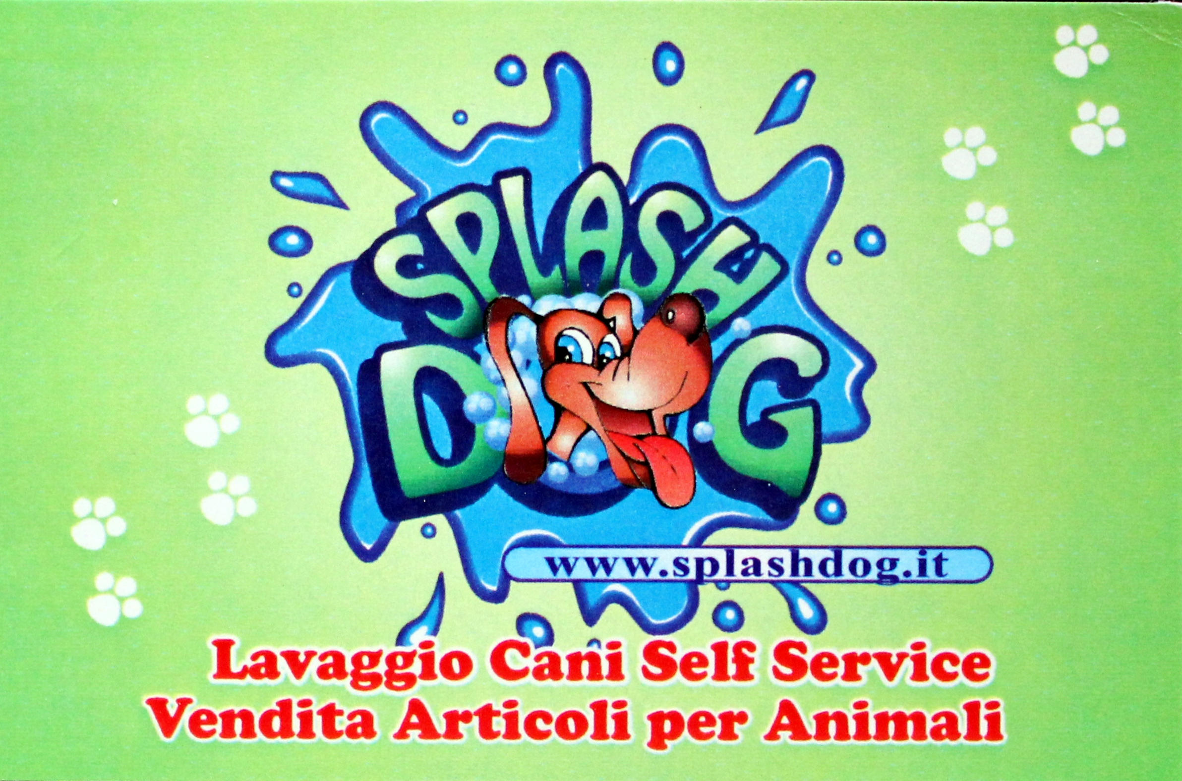 SPLASH DOG