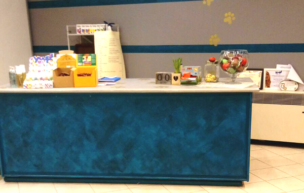 Toelettatura Coccole D'Oro