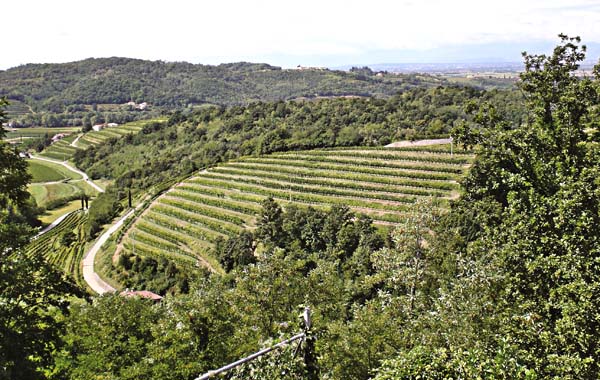 Azienda Agricola “LA RAJADE”