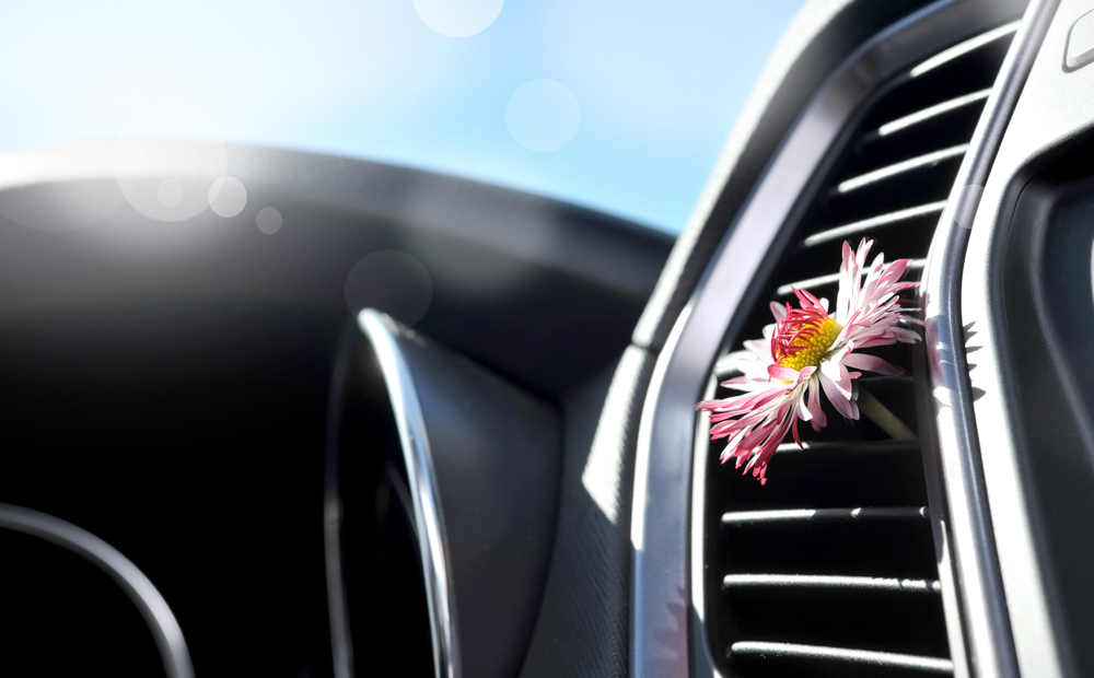 Ricarica climatizzatore auto, igienizzazione abitacolo e check up  -50% di sconto