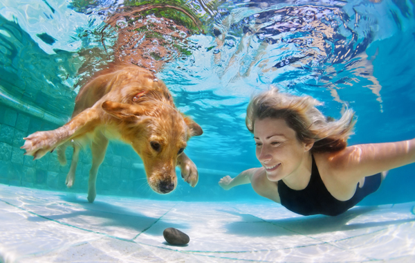 Corso di NUOTO per CANI: 3 Lezioni -53% di sconto