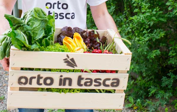 Box cena invernale a casa tua "Orto in Tasca" -55% di sconto