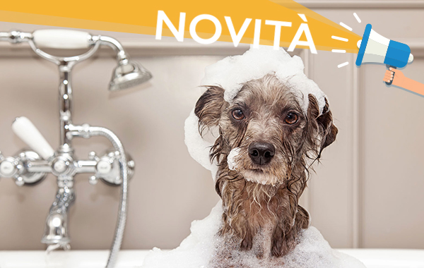 Toelettatura e bagno per cani fino a 10 kg da Pippo's Pet Shop -56% di sconto