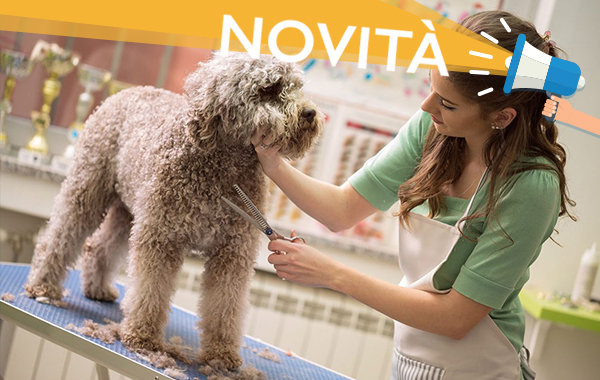 Toelettatura per cani fino a 10 kg da La Bella Vita -50% di sconto