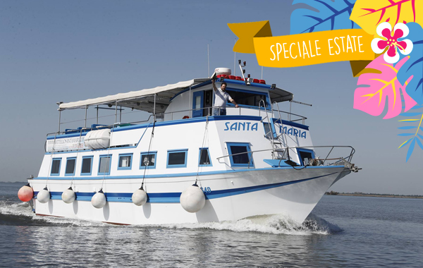 Tour della laguna in battello da Lignano e visita guidata ad Aquileia -40% di sconto