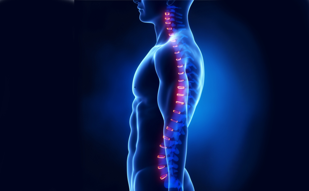 Visita più trattamento posturale -50% di sconto