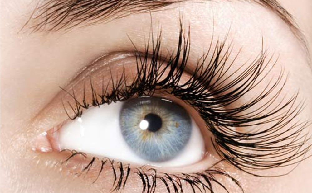 Colorazione ciglia -43% di sconto