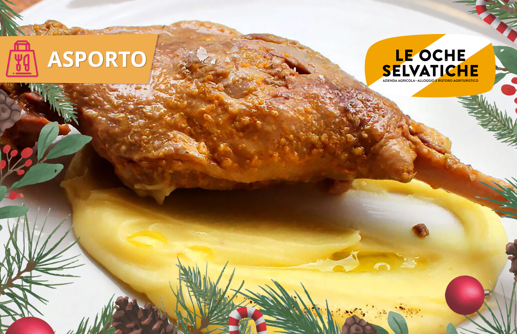 Oca in umido, antipasto e contorno da asporto da Le Oche Selvatiche di Pavia di Udine