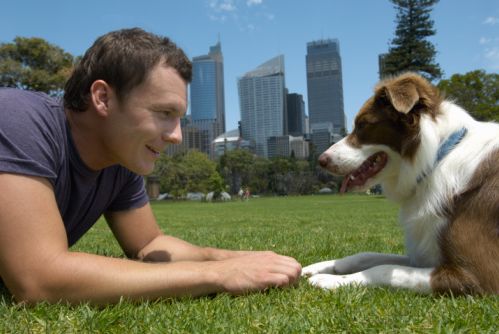 Corso di base educazione/addestramento -67% di sconto