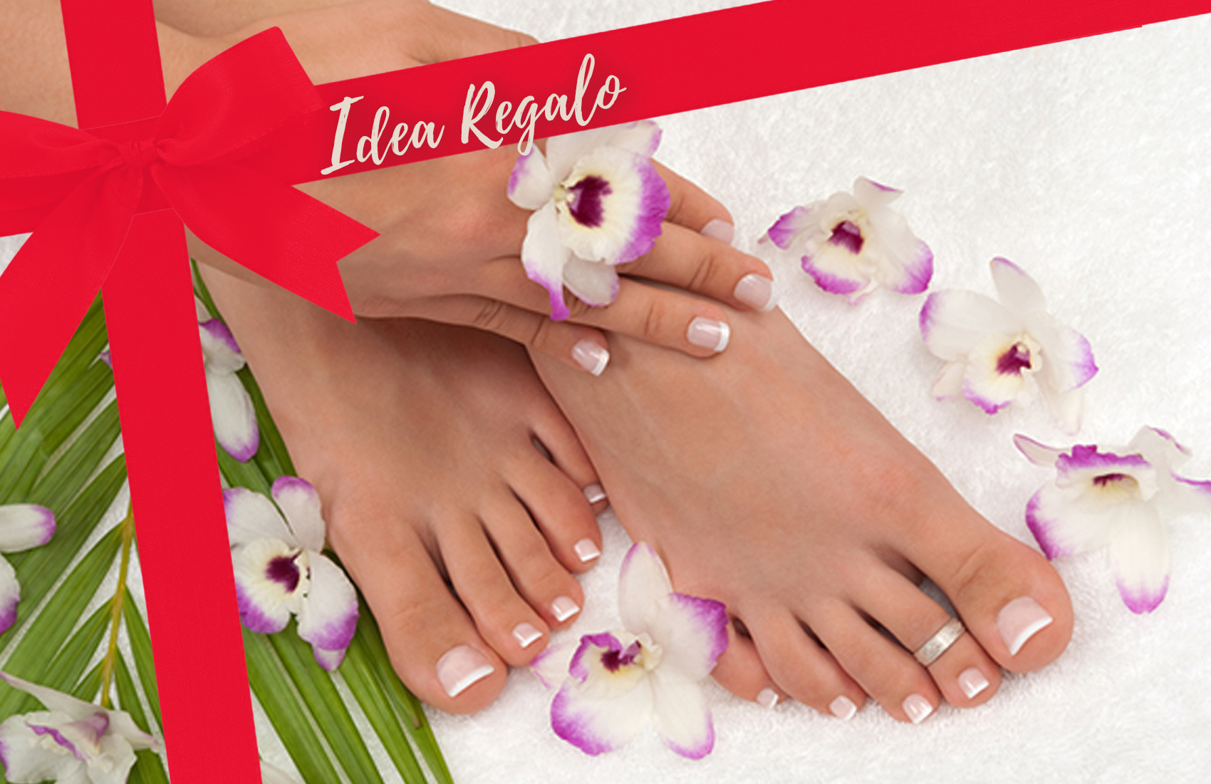 Coupon Manicure e pedicure da DM Studio a Udine "REGALO NATALE" -40%