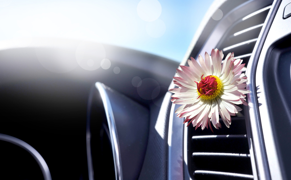 Ricarica climatizzatore auto e summer check up  -66% di sconto